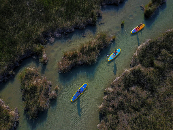 Biophilia and Paddle Boards: Embracing Nature’s Call on Water