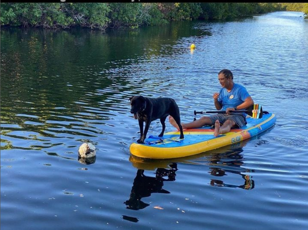 dog on paddleboard