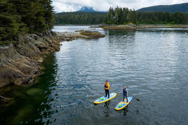 drone shot of paddle boarders
