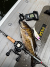Backwater – Inflatable Fishing Paddleboard